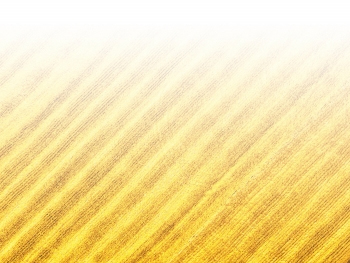 智能農(nóng)機(jī)、“訂單”服務(wù)、“云端”種菜——來(lái)自江西的春耕“新事”